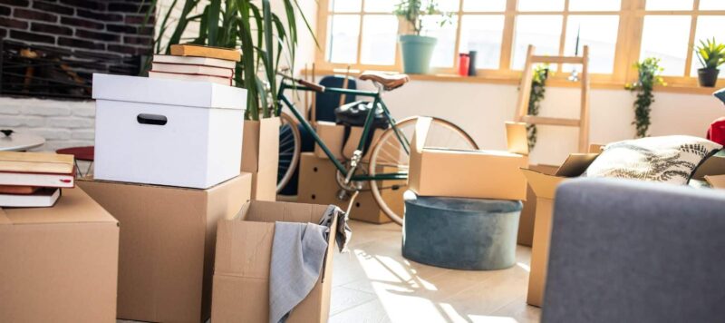 Living room filled with moving boxes, a bicycle, and houseplants in natural light